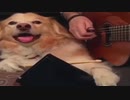 動物見て癒されるはずが勝手にアフレコしてまうわ
