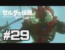 【実況】リンクのハイラル道中膝栗毛　part29【ゼルダの伝説BotW】