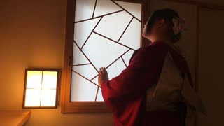 【桜雅】雪よ舞い散れ其方に向けて【踊ってみた】