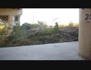 crook_Bonk_Bridge_Gap　武居直人