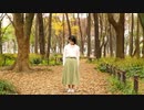 【チャイナ】刹那プラス 踊ってみた【落葉】