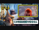 MHP2G勢がMHWIやってみた　その44
