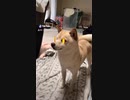 守銭ダー哮天