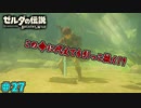 【続編決定記念】のんびりと伝説「ゼルダの伝説～ブレスオブザワイルド～」　＃27