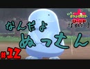 【初見が目指すは怪獣軍団】ポケットモンスターソード・シールドpart12【24歳フリーター】