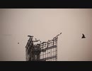 noo - Old Man