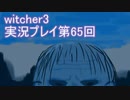 探し人を求めてwitcher3実況プレイ第65回