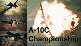 Ace Combat 7 Extra138 バトルロイヤル A-10神選手権
