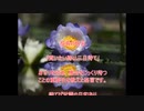投資格言「買いたい時は三日待て」～大橋直久