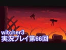 探し人を求めてwitcher3実況プレイ第66回
