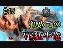 MHP2G勢がMHWIやってみた　その45