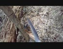 （普通に雑談回）変態忍者の、狩猟＆有害鳥獣駆除従事活動記・その９３