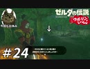 【実況】ウルリンといっしょ＃24｢隠れている(棒立ち)｣【BotW】