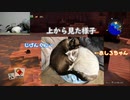 【猫出し実況】ネコを映しながらドラゴンクエストビルダーズ2をプレイする #2【DQB2】