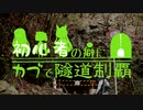 【東北姉妹車載】初心者の癖にカブで隧道制覇 14本目