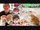 まらお&ぬぷこIN乱スタンプを巨○プリントして2匹にお気に入り選んでもらったwww