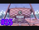 【ポケモン剣盾】物語をじっくり楽しみながら旅をする☆パート25【実況】