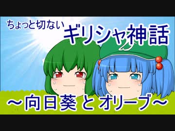 ギリシャ神話 向日葵とオリーブ