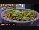 食虫植物栽培日記 dionaea cupped trap＃1《ハエトリソウ》