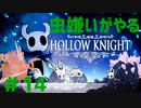 【虫嫌いがやる】Hollow Knight　part14【実況】