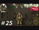 【実況】ウルリンといっしょ＃25｢オカマが建てて女装癖持ちが住む家｣【BotW】
