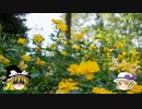 【ゆっくり】ソロ充が行く！！ スイス絶景ソロ紀行 part10 ～丘の上のバラ園 ～