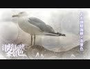 【森宮藍乃】津軽海峡・冬景色【カバー曲】