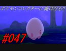 ポケモンコレクターに俺はなる‼#047