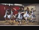 【第4弾】夢幻クライマックス 【踊ってみた】