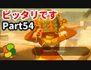 【実況】今年で定年を迎える父をハイラルの大地に放り込むPart54【ゼルダの伝説BotW】