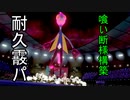 【ポケモン剣盾】他人のパーティで見るオーロラは綺麗だなぁ……【part3】
