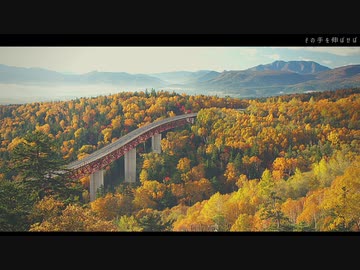 【NNIオリジナル】その手を伸ばせば