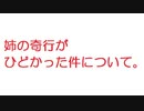 【2ch】姉の奇行がひどかった件について。