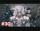 楽園へ行きたくて ゼノブレイド2を初見実況　part30