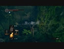 【DARK SOULS REMASTERED】ランダム世界でダークソウル#3