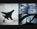 Ace Combat 7 Multiplayer554 バトルロイヤル Su-34 + HCAA
