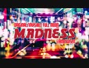 【東方アレンジ】MADNESS (原曲:狂気の瞳)