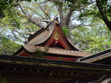 【高画質】古社の風景 ～大和 廣瀬大社～