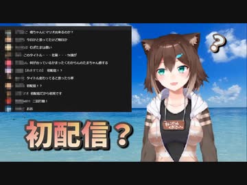 自分を新人ライバーだと信じて止まない野良猫の初配信【文野環】