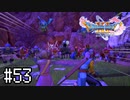 【実況】人見知りな勇者御一行と虚言癖の村人 #53【DQ11S】
