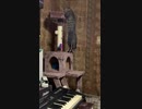 キャットタワーとNANAさん