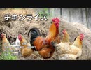 【チキンライス】歌ってみた＠しろーとめせん Ver.志優