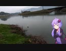 結月ゆかりと気ままに釣り２
