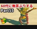 【実況】今年で定年を迎える父をハイラルの大地に放り込むPart55【ゼルダの伝説BotW】