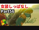 【実況】今年で定年を迎える父をハイラルの大地に放り込むPart56【ゼルダの伝説BotW】