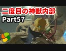 【実況】今年で定年を迎える父をハイラルの大地に放り込むPart57【ゼルダの伝説BotW】