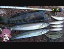 【冬キス釣り】パワーイソメちょい投げキス釣り
