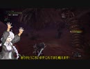 強肉弱食(IB)23(回復薬縛り)