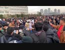 ホモと見る受精卵2