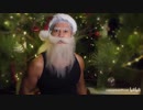 Merry Christmas and my cat Sasha - Van Darkholme Daily Life -